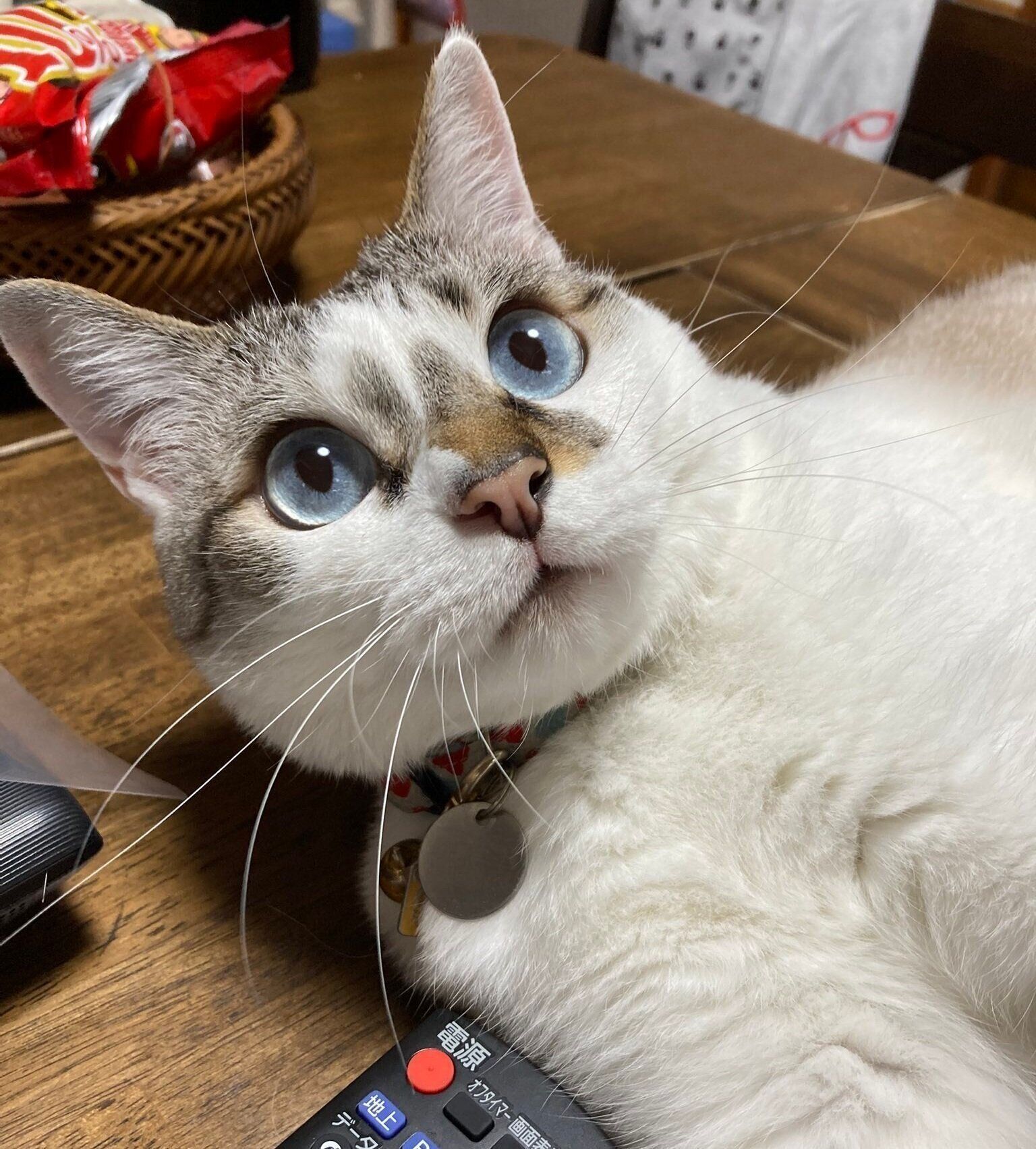 7才を目前にした、あたりちゃん