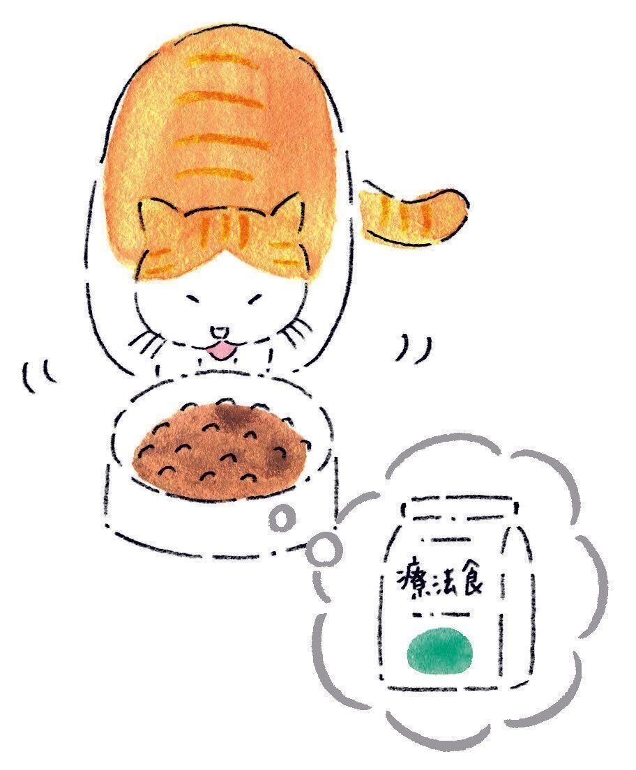 イラスト／みやしたゆみ