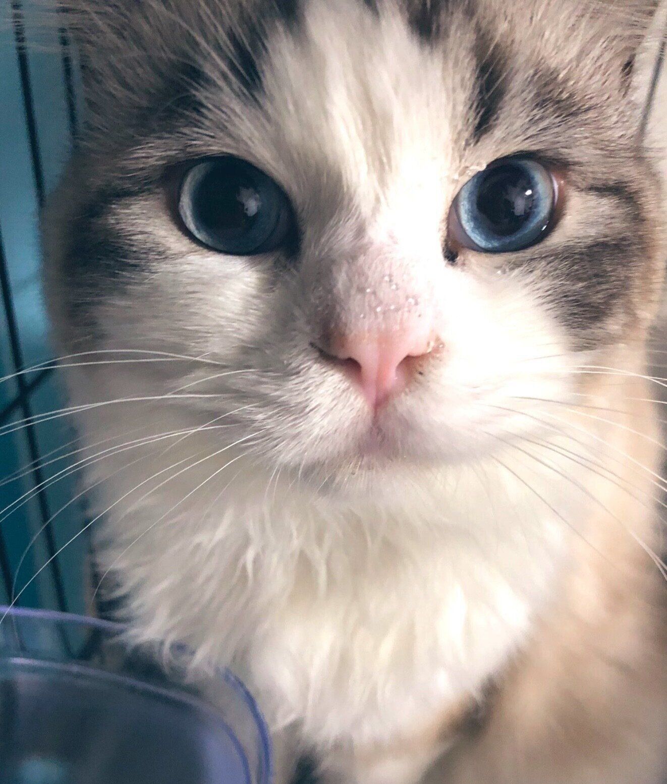 見つめる琉夏くん