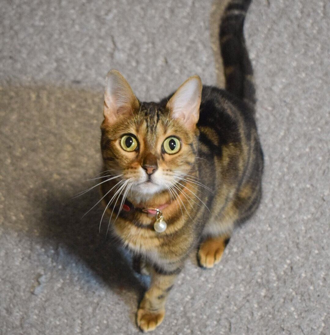 別の日のはなちゃん