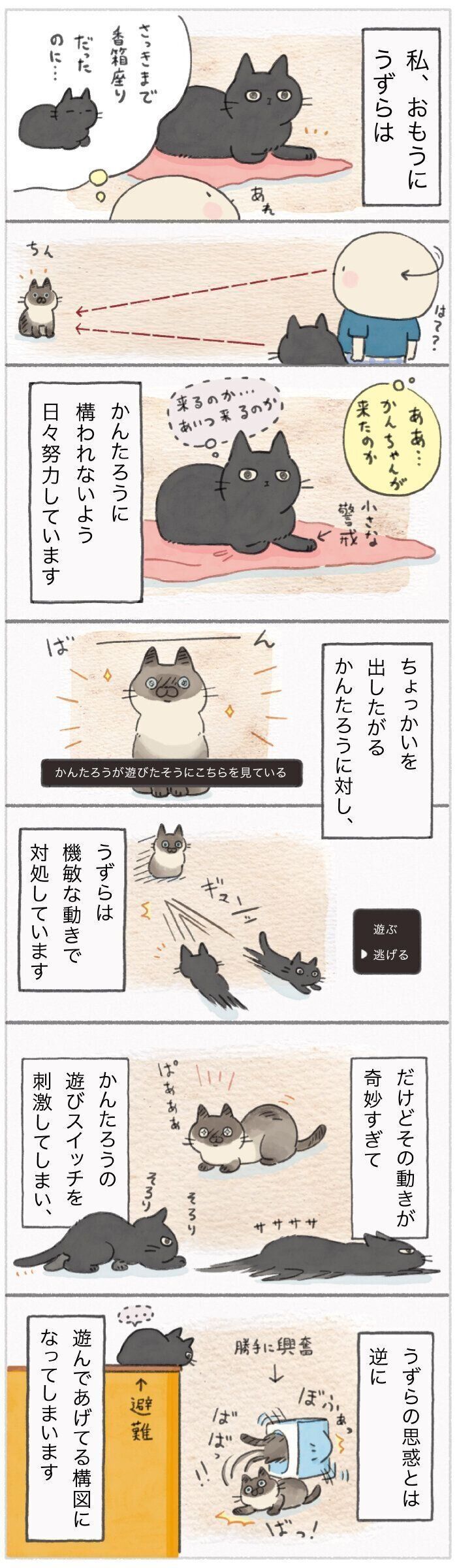 「ねこ連れ草」190話め