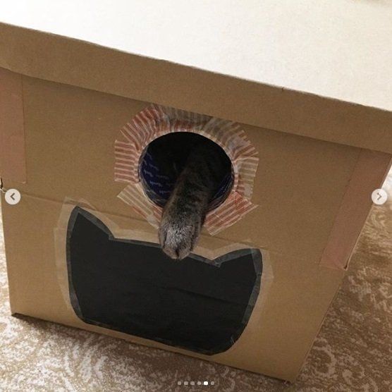 可愛いお手手が……