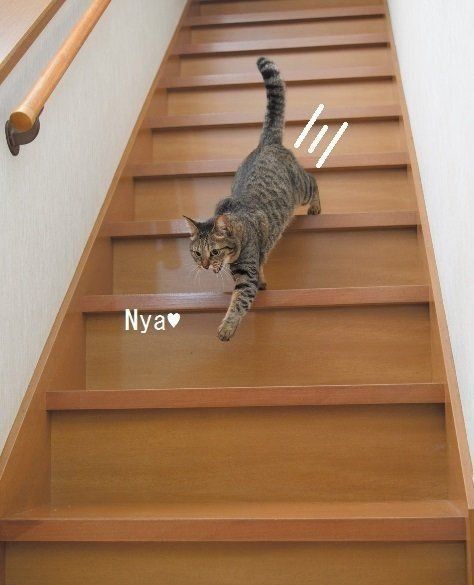 撮影／Akimasa Harada