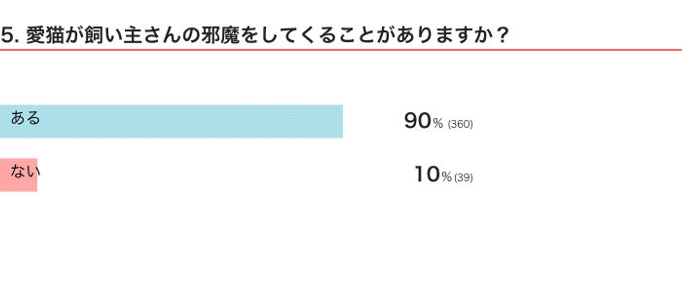 困るけど幸福感も 猫たちの 邪魔可愛い行動 が微笑ましすぎる ねこのきもちweb Magazine