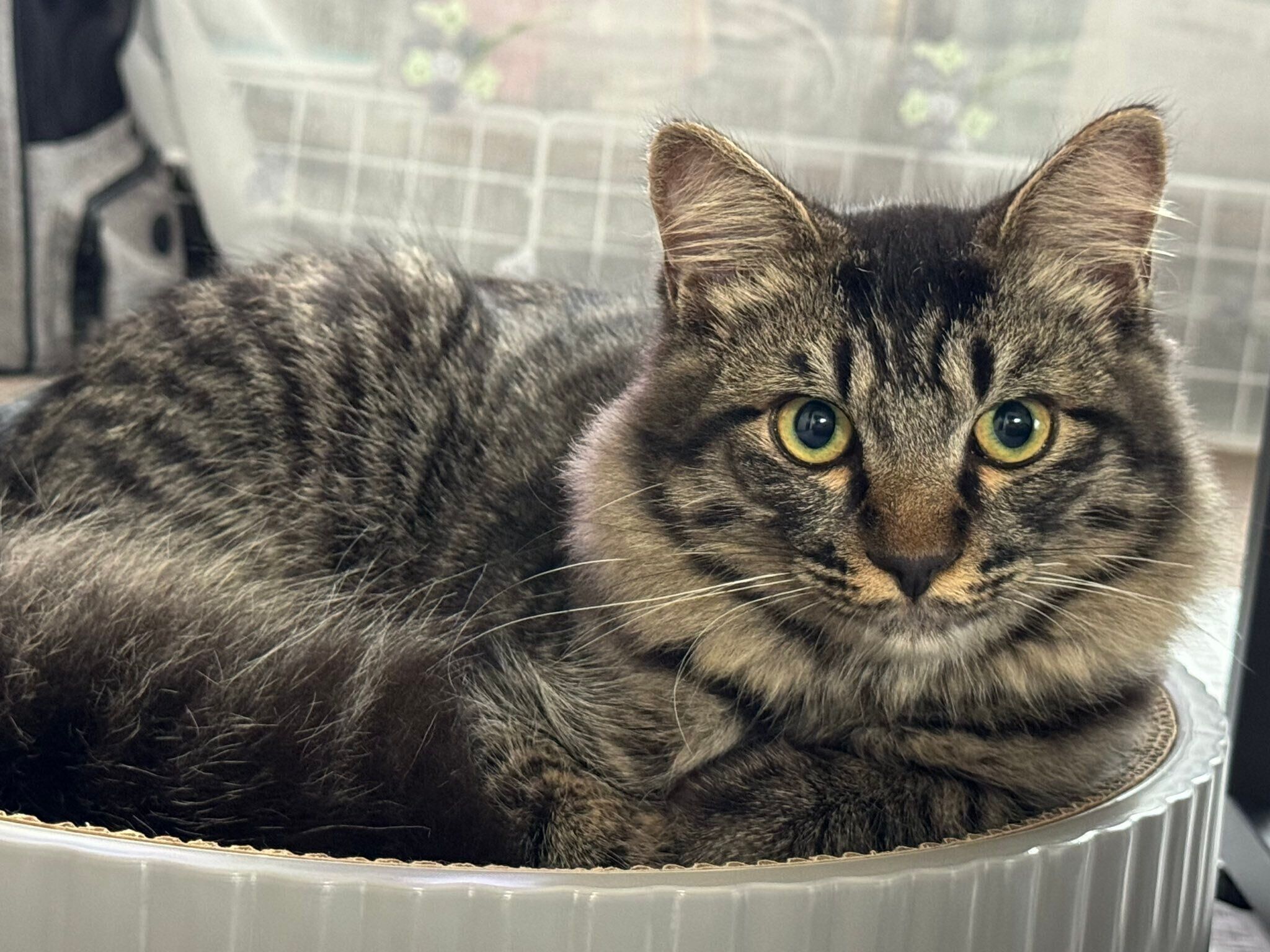 成長後の様子　キレイな瞳が印象的な1枚