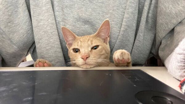 ハマジさんの膝の上に座るダニエルくん