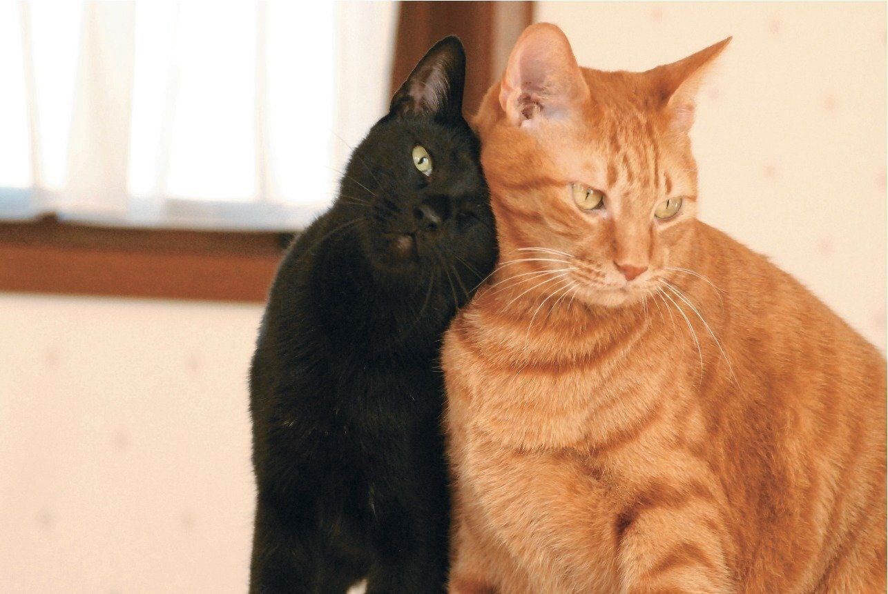 撮影／栗林　愛