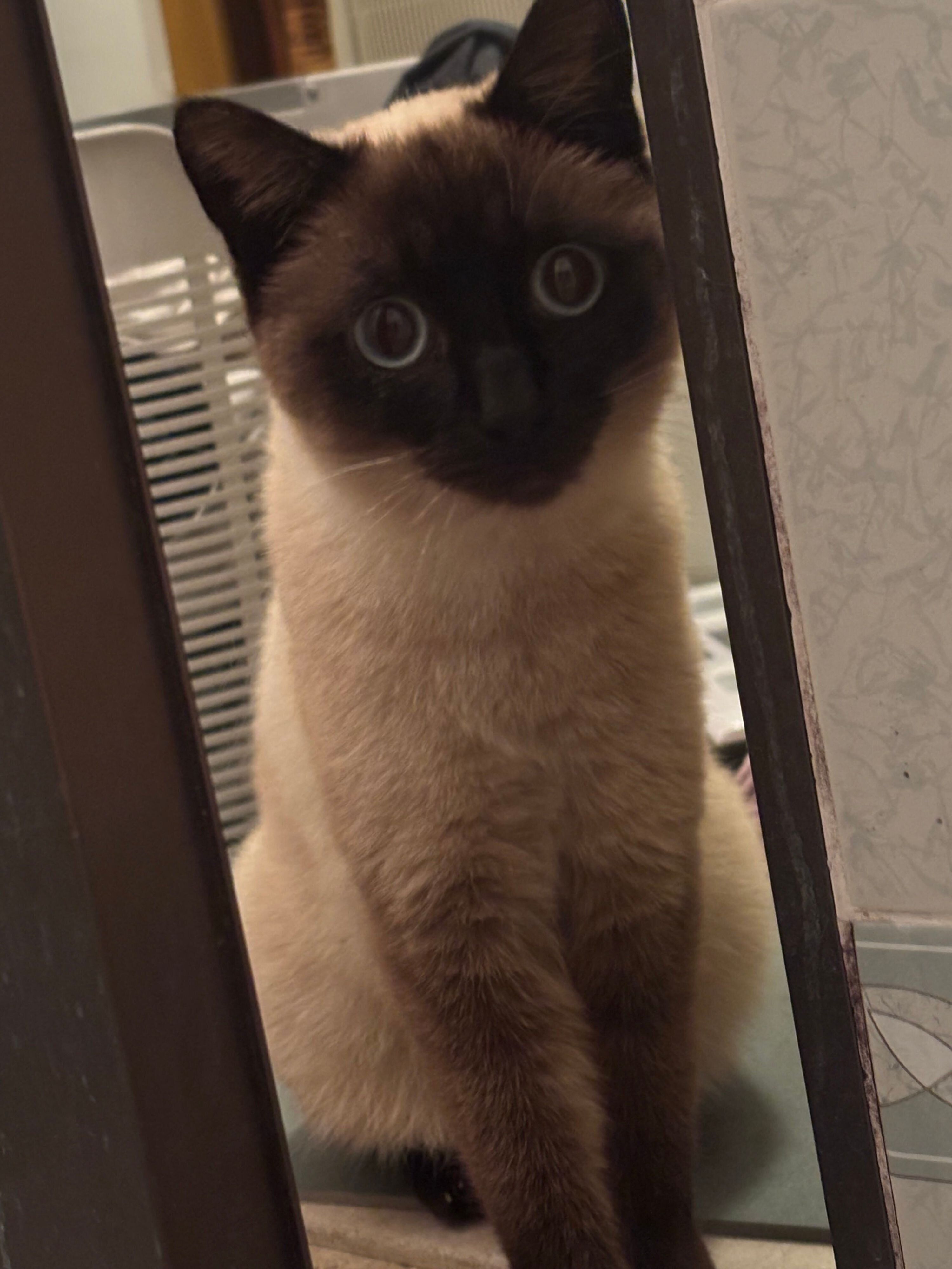 成長したおこげちゃん
