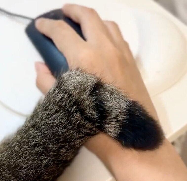 マウスを操作する飼い主さんの手をしっぽで触るくろみつくん
