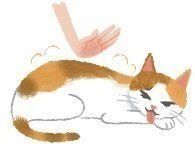 イラスト／片山智恵