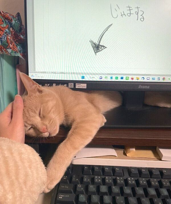 ハマジさんに甘えるダニエルくん