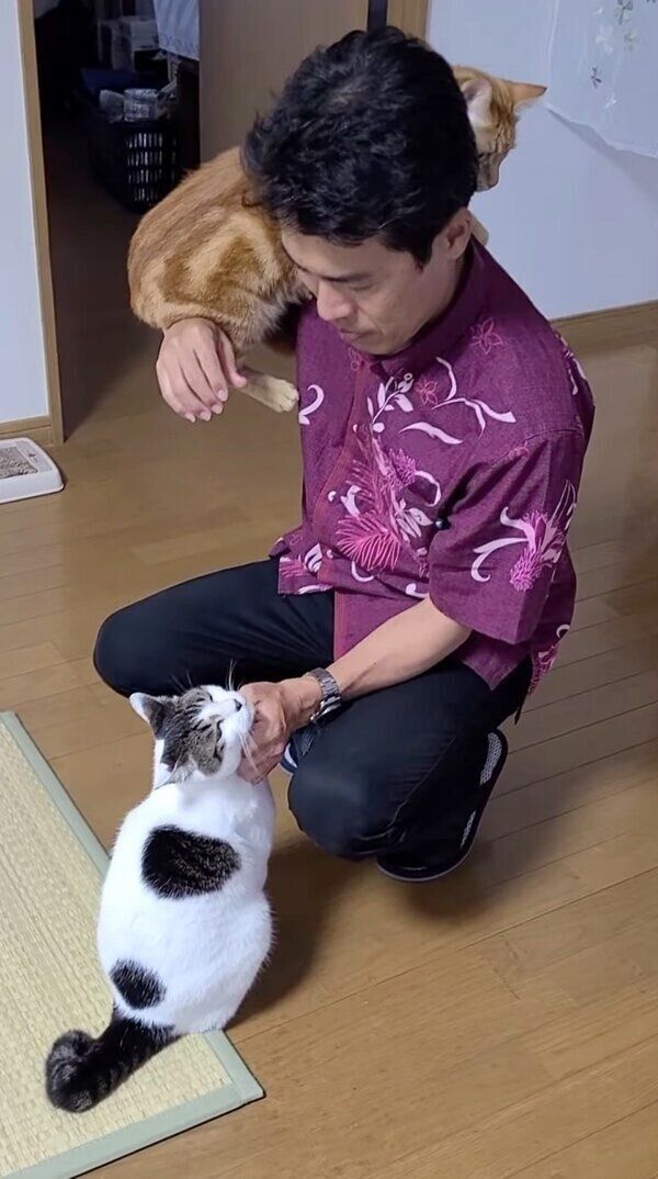 肩に乗るふくくんと、パパさんになでられて喜ぶちびくん