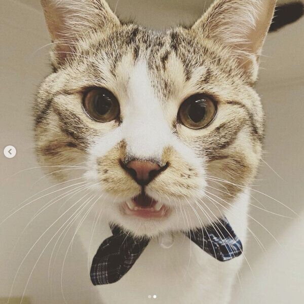 見つめるレンくん