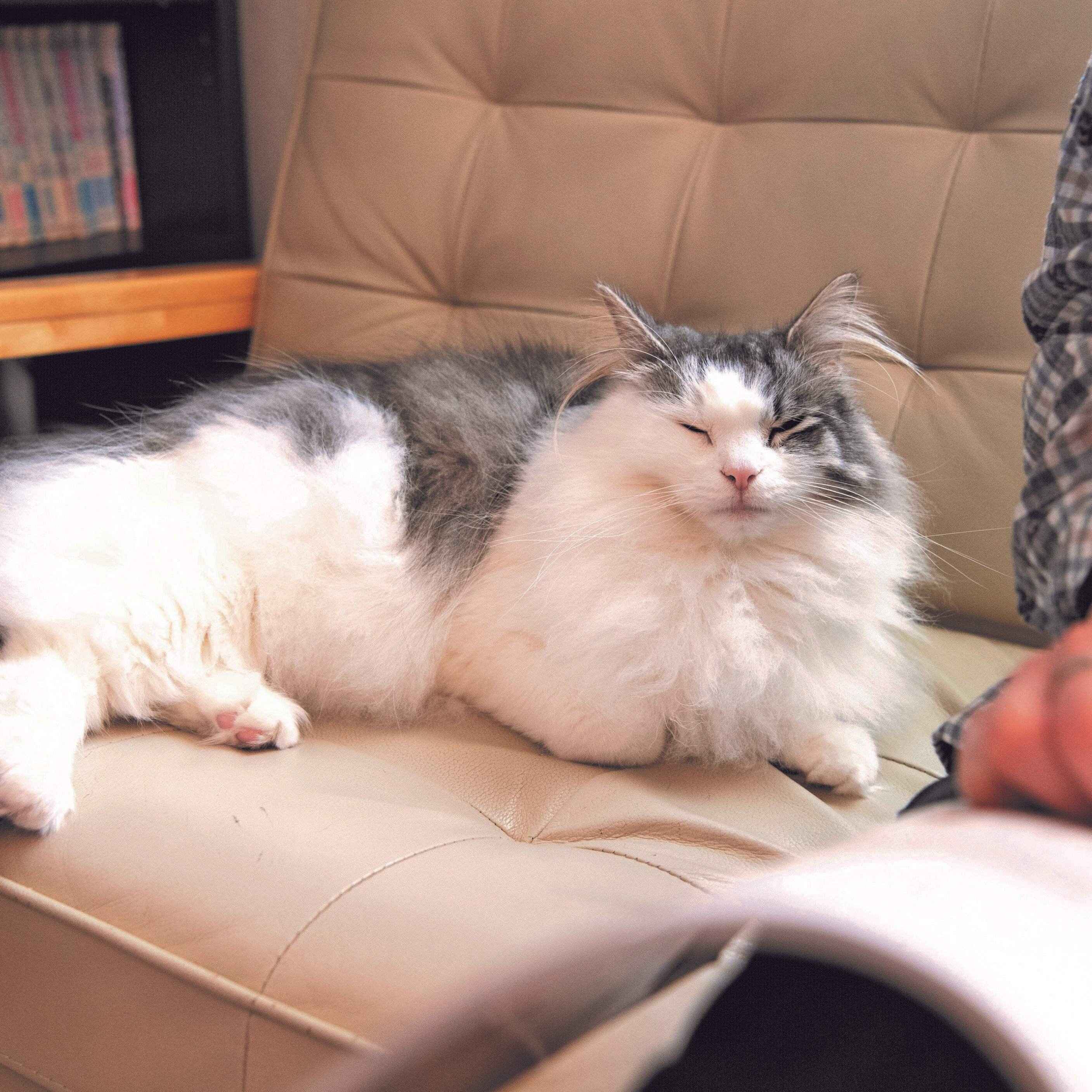 撮影／Akimasa Harada