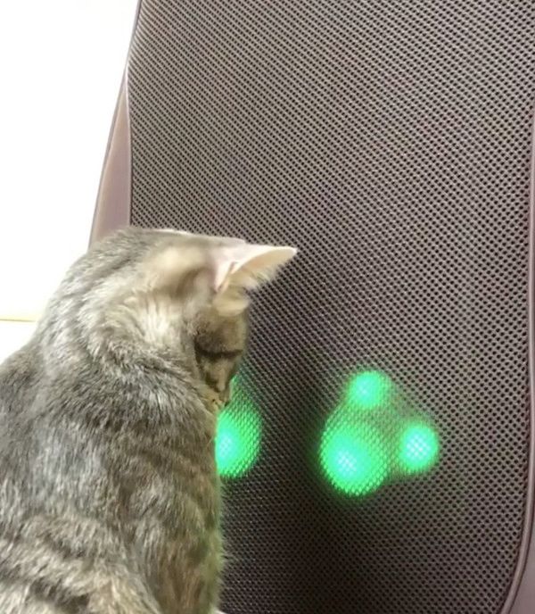 マッサージ機が気になる猫