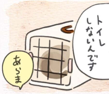 366話めサムネイル