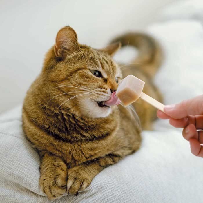 撮影／石川美和