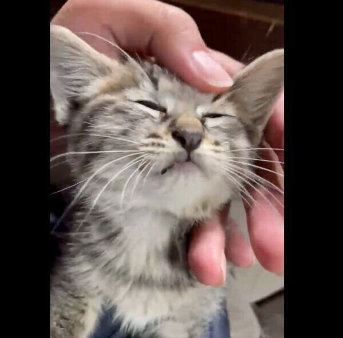 Ecsdq9xuvjjnam Ecsdq9xuvjjnam