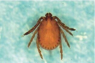 写真提供／佐伯英治先生