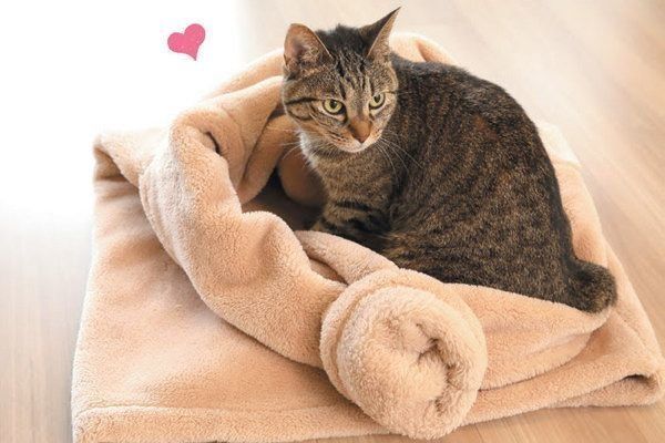 暖房器具を使用しないで簡単に温まれる工夫