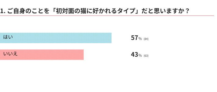 あなたは初対面の猫の好かれるタイプ？