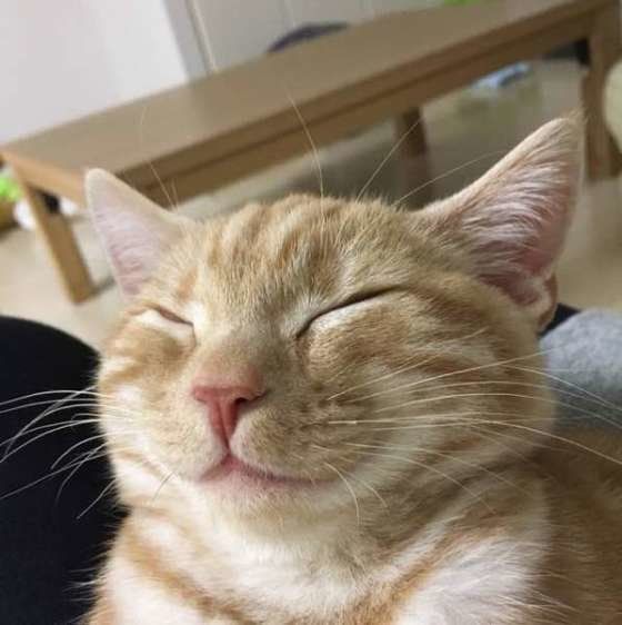 ペイちゃんの笑顔