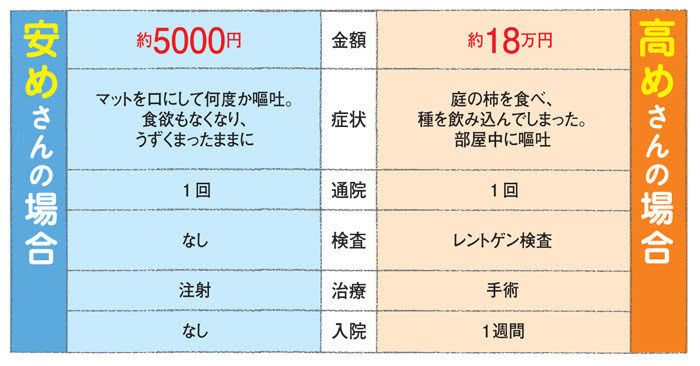 「ねこのきもち」2016年9月号