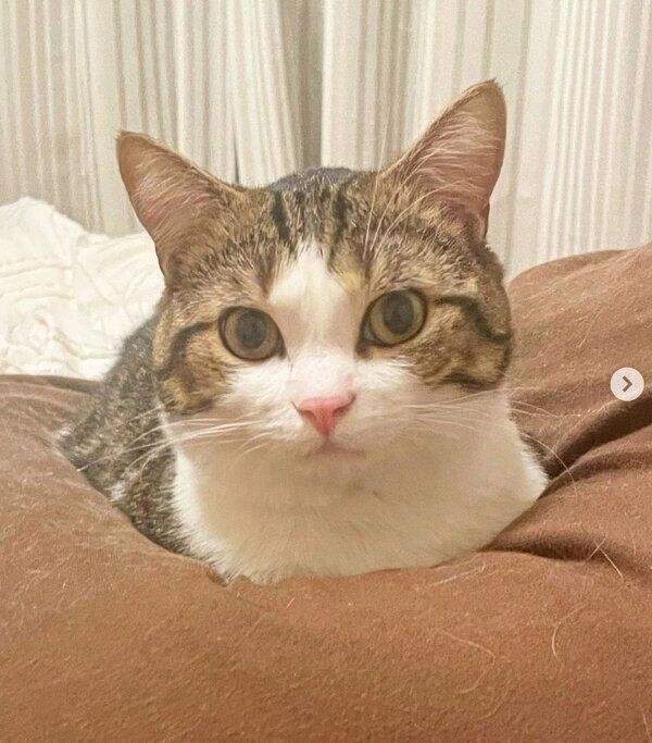 くつろぐ琥太郎くん