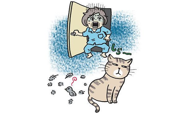 鳥を捕獲する猫