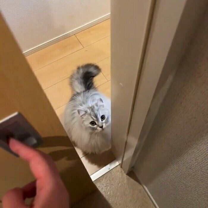 扉の前で待つすぴくん