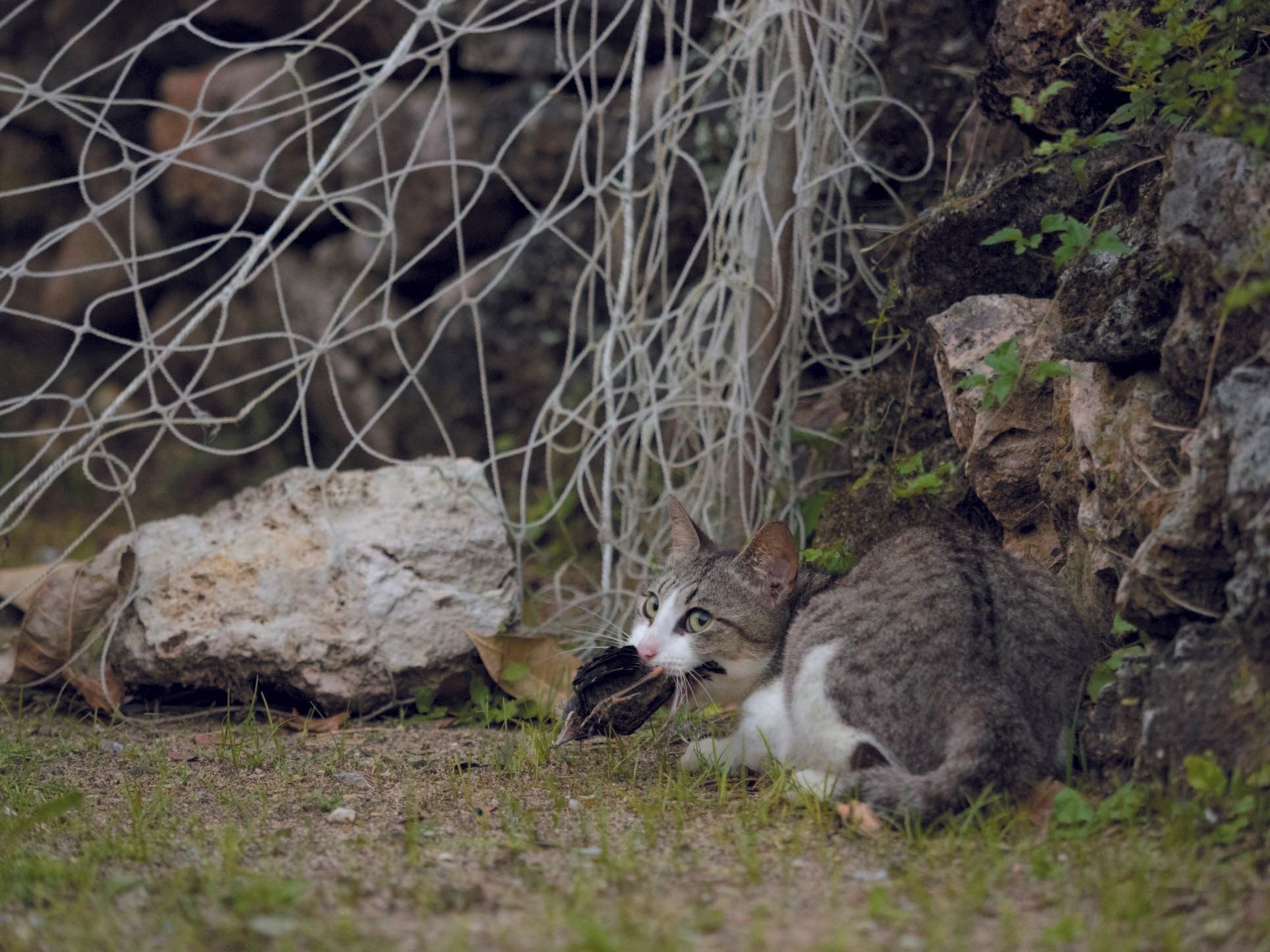 写真／小森正孝