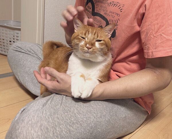 膝の上に乗るごま太郎くん