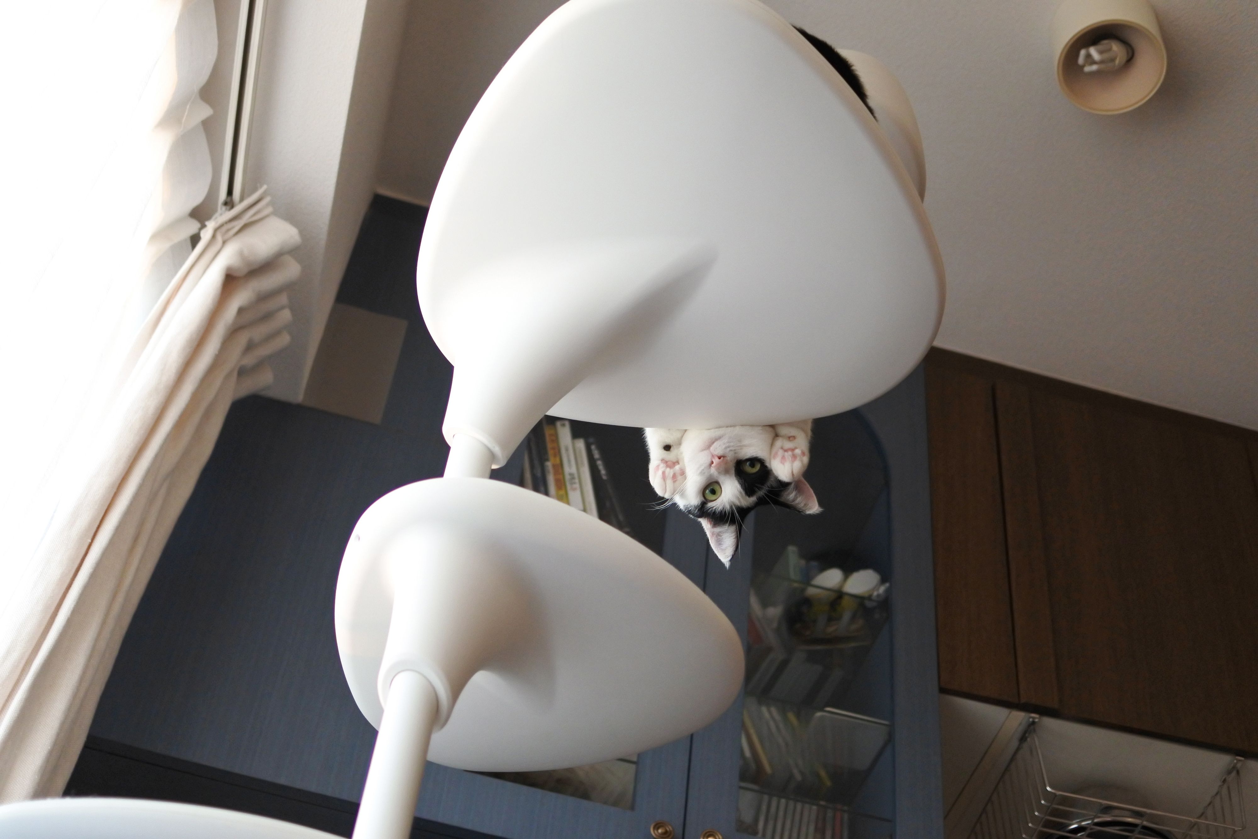 写真提供／ＭＩＭＯＥ