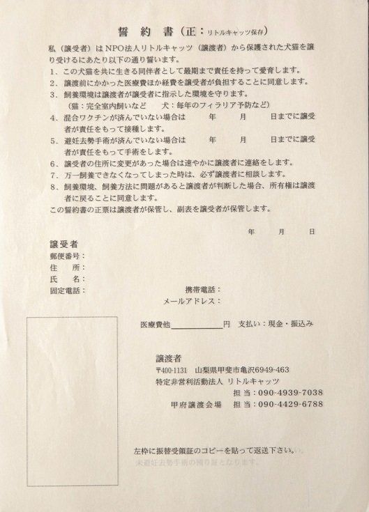 撮影／中川文作