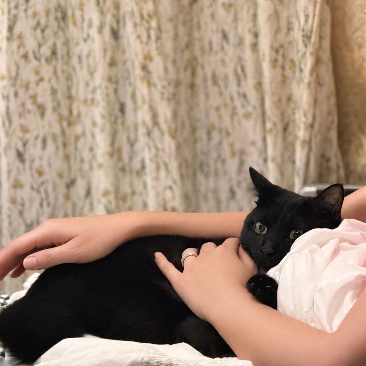 話題になった投稿写真に写るヴィヴィちゃんと飼い主さん