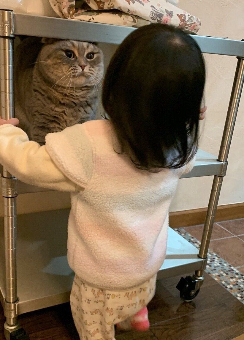 おもしろい顔をするたこやきくん