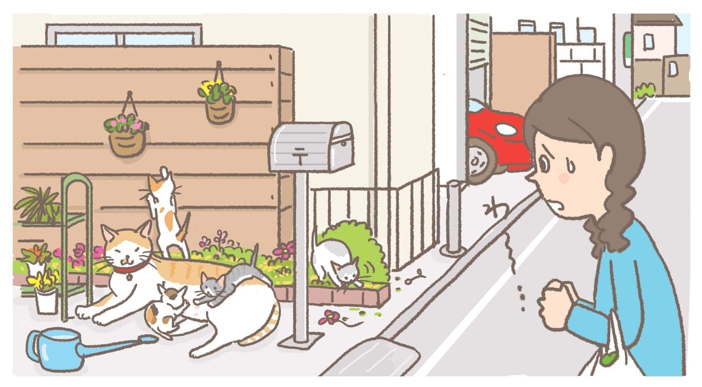 猫と法律 近所で放し飼いにされている猫があちこちで出産 飼い主さんに注意はできる ねこのきもちweb Magazine