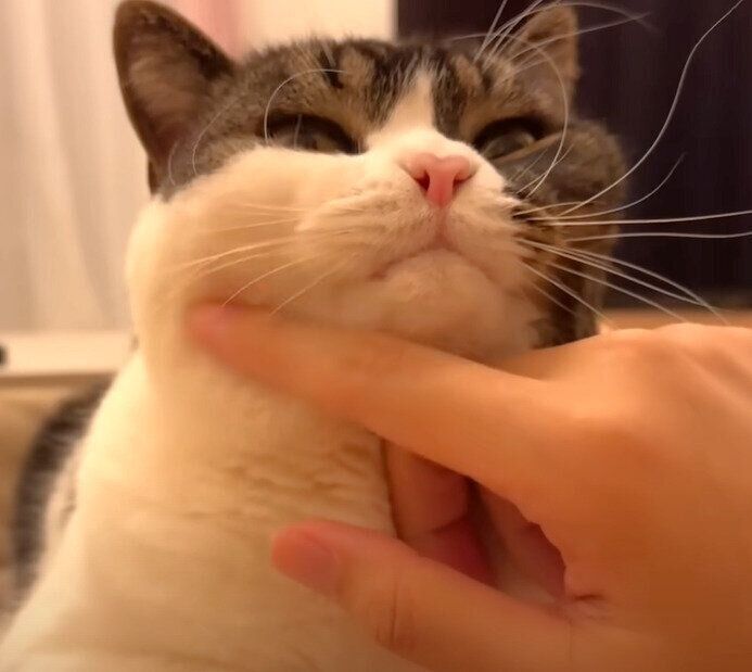 パパに甘えるうま次郎くん