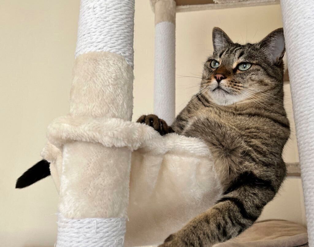 渋さがカッコいいボンくん