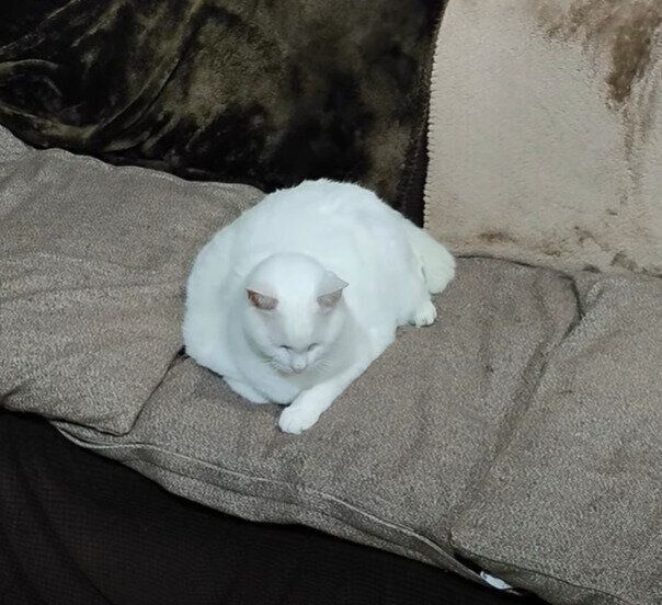 ぽつんとユキちゃん