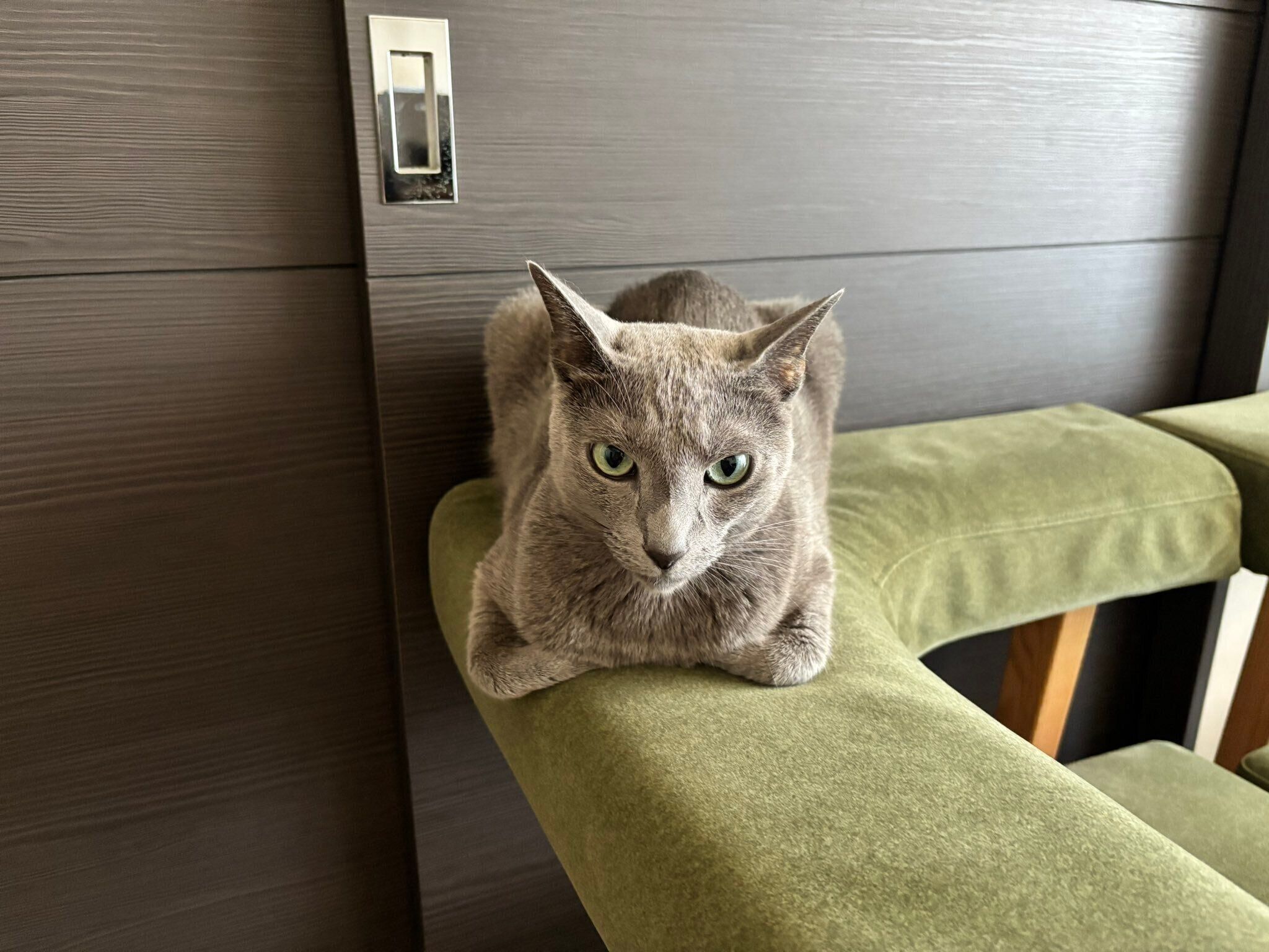 まったりするとあくん。