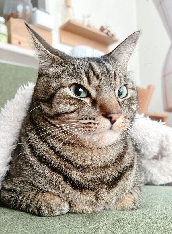 くつろぐベルくん