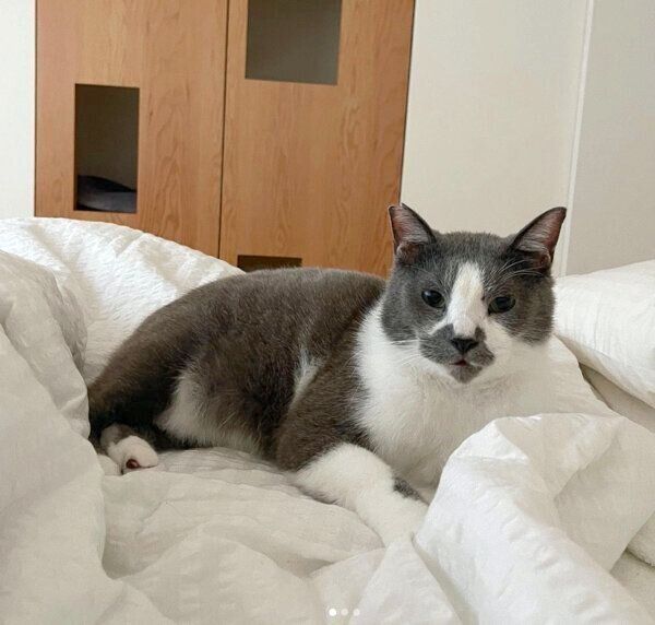 くつろぐくまおくん