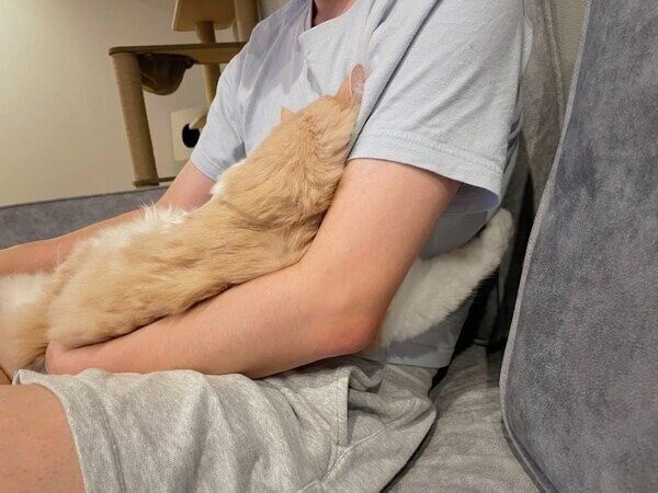 甘え方が尊いグラくん