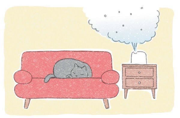 猫の健康維持に直結する寒さ対策