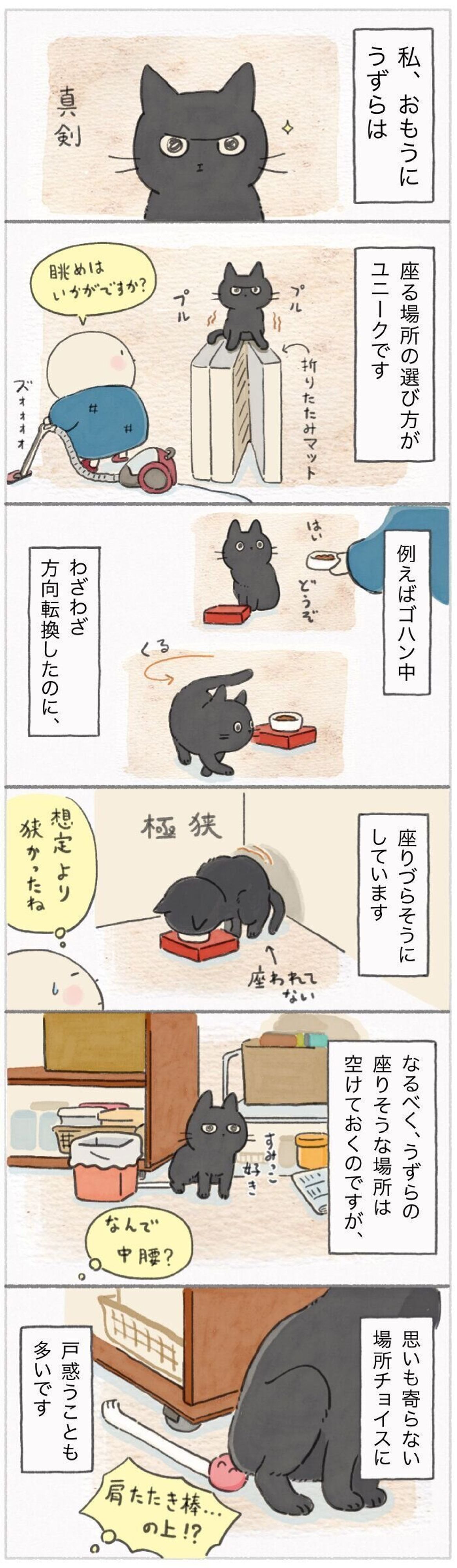 そこは落ち着ける場所なの 座る場所のチョイスが謎すぎる 連載 ねこ連れ草 181話め ねこのきもちweb Magazine そこは落ち着ける場所なの 座る場所のチョイスが謎すぎる 連載 ねこ連れ草 181話め ねこのきもちweb Magazine