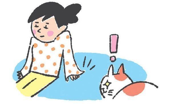 猫の「興奮スイッチ」