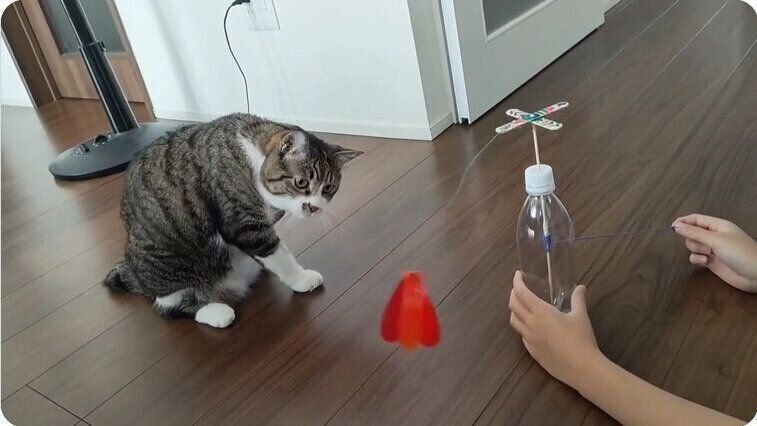 猫じゃれマシン2022（手動）