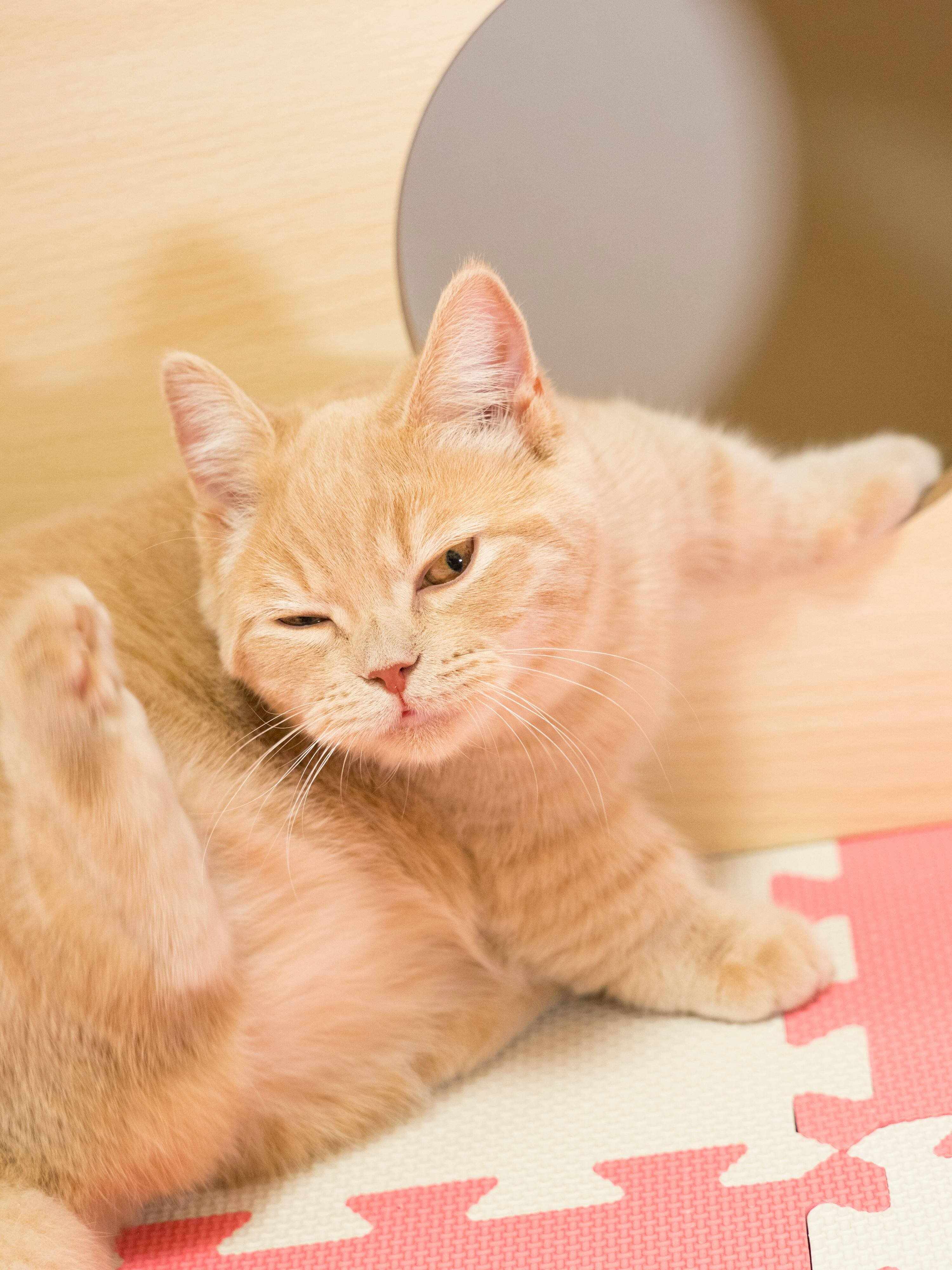 撮影／小森正孝