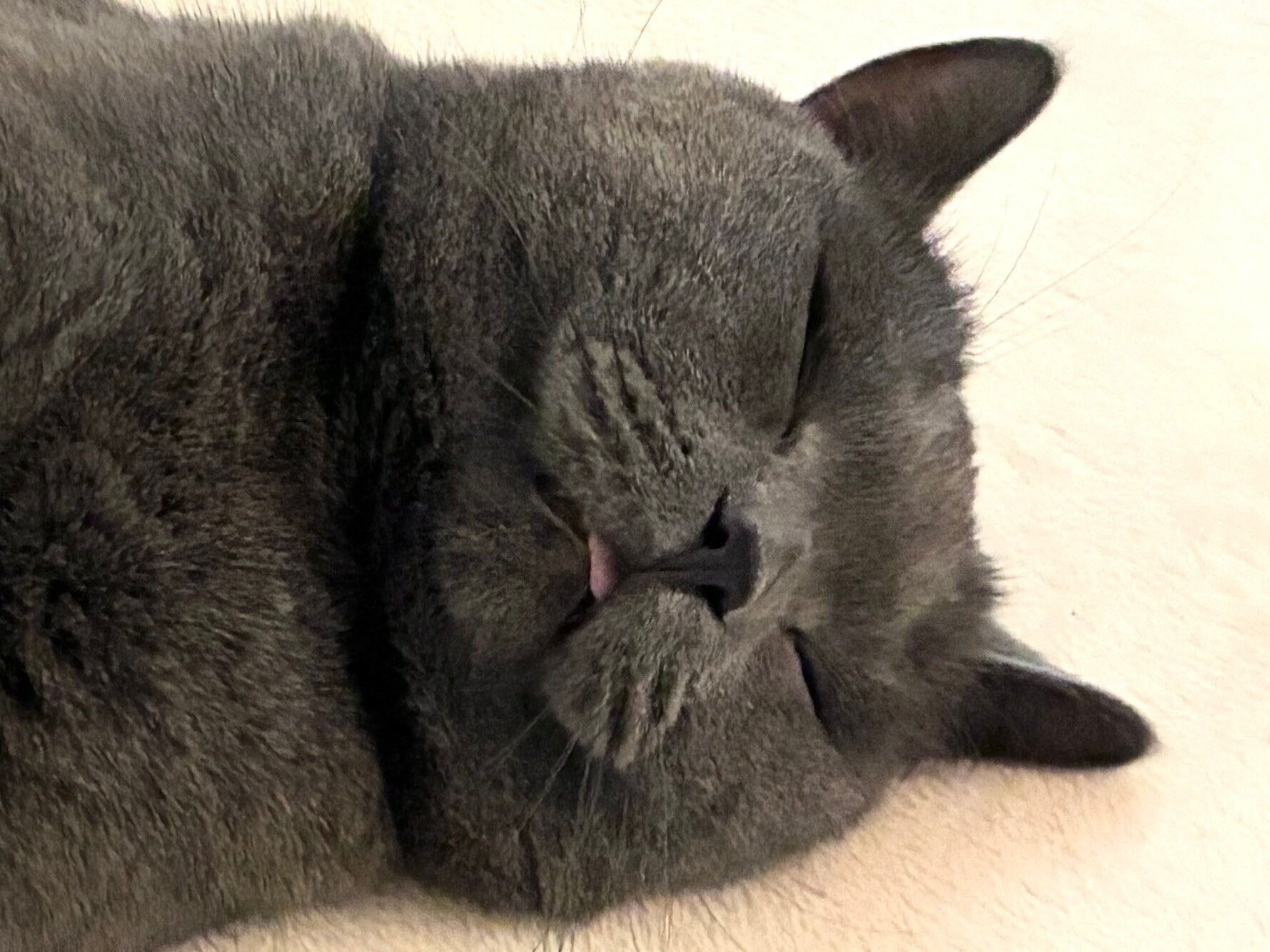 スヤスヤ眠る安二郎くん